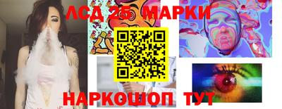 прущие грибы Можайск