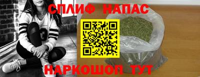 прущие грибы Можайск