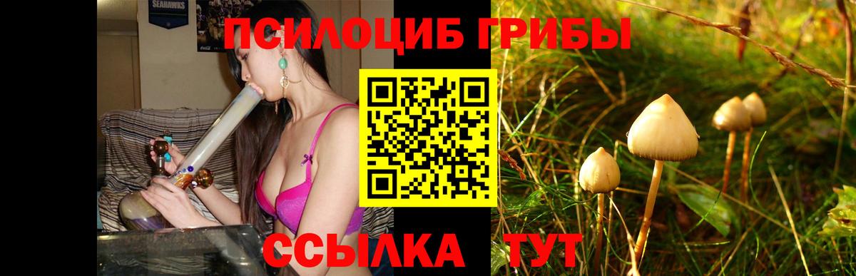 Галлюциногенные грибы Magic Shrooms  Галлюциногенные грибы прущие грибы  Вход с VPN  Анжеро-Судженск 